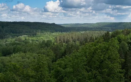 Walk in Gauja National park with Professional Photographer