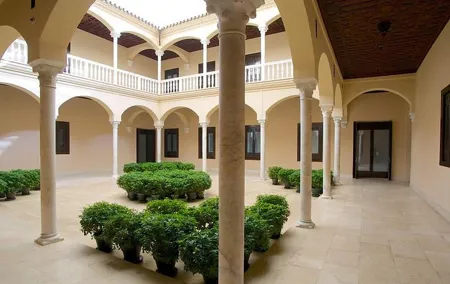 Private visit to Picasso Museum in Malaga with official tour guide