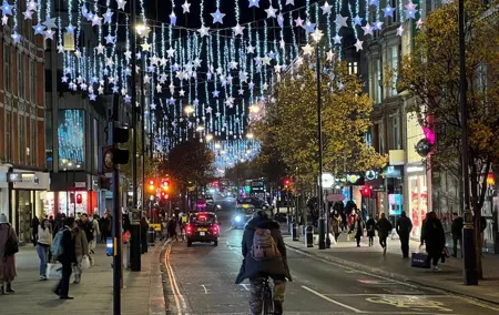 Christmas Light Night Tour