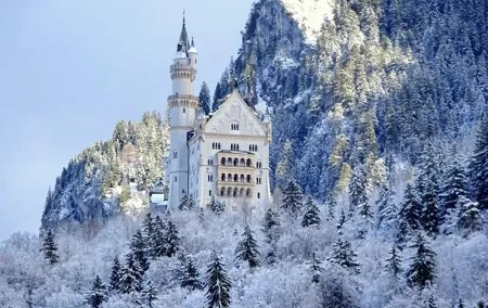 Neuschwanstein Castle by bus & Munich Xmas Market walking tour