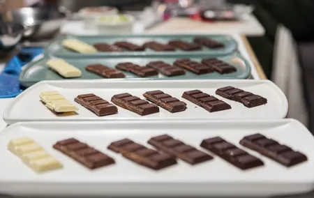 Cacao Chronicles: A Mexican Chocolate Tasting