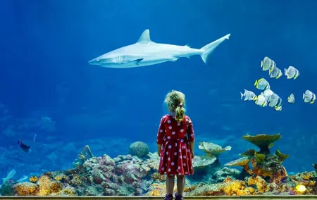 Aquarium de Paris Priority Access Tickets