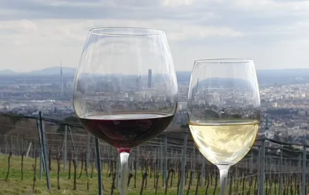 In Vienna Veritas - An Exclusive historical Wine tasting tour
