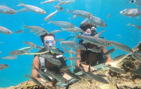 Scuba Diving Antalya with Boat Tours