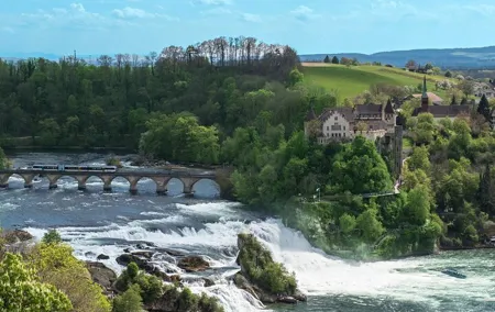 Guided Day Trip to Rhine Falls from Zurich