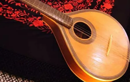 Semi Private Oporto Fado Show with Dinner