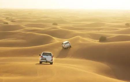 Bedouins Heritage Desert Safari Live Show and BBQ Dinner