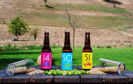 Agricultural Brewery Tour in the Roman Countryside