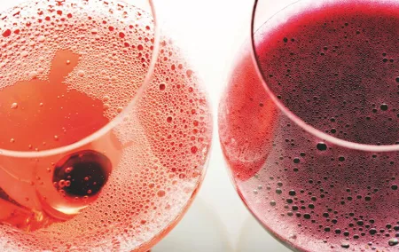 Exclusive Lambrusco Experiences