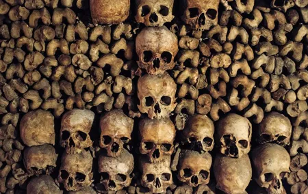 Paris Catacombs Tour