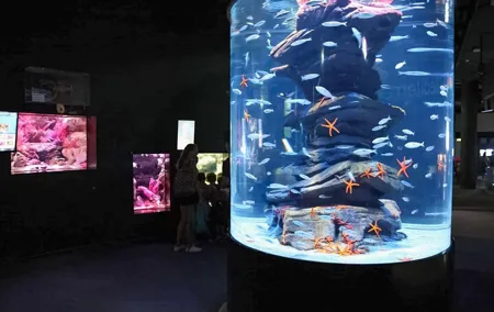 Aquarium de Paris Priority Access Tickets