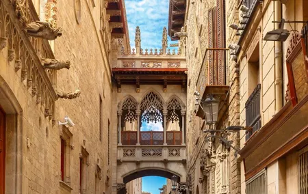 Private Tour Gothic Quarter and Historic Center of Barcelona