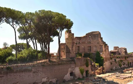 Ancient Rome and Domus Tiberiana Private Walking Tour