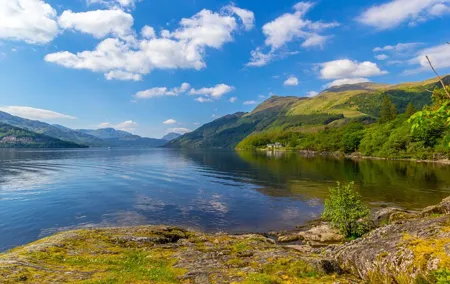 Edinburgh: Loch Lomond, The Highlands & Hairy Coo's (Small-Group)