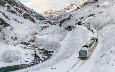 Winter Tour Viking Village, Nærøyfjord Cruise and Flåm Railway