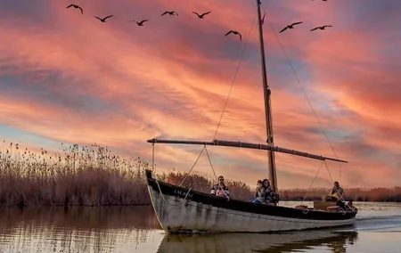 Albufera Natural Park with a Boat Tour from Valencia
