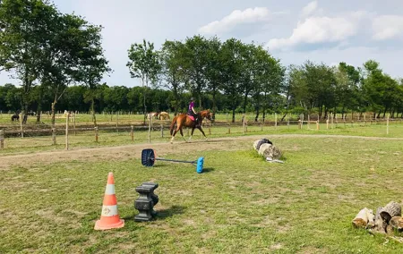 Riding course for all levels 1/2 day (3 hours)