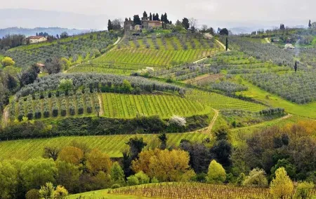 Private Tour Tastes of Tuscany: Pisa, Siena, San Gimignano and Chianti
