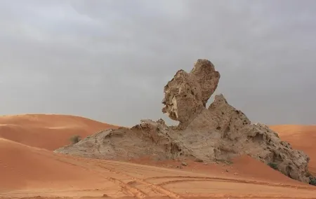 Camel Rock Desert safari Dubai with bbq Dinner camel ride sand boarding & more