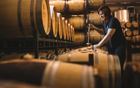 Olive oil and Navarre winery visit with tastings and lunch in small group tour