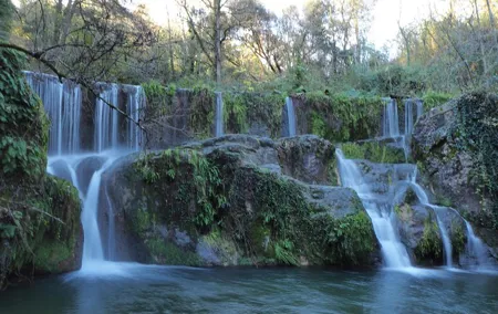 Volcanic Trekking: Volcano, Forest and Waterfall Day Trip from Girona with Lunch