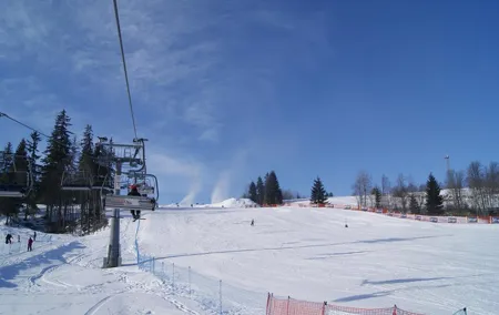 Krakow: 3-Hour Skiing and Snowboarding Advanced Experience