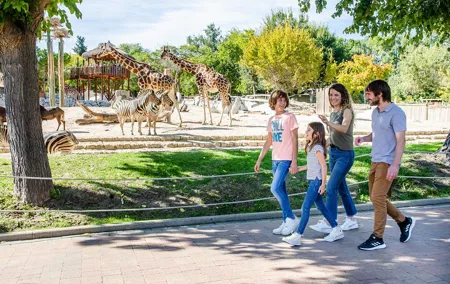Zoo Aquarium Madrid Admission Ticket