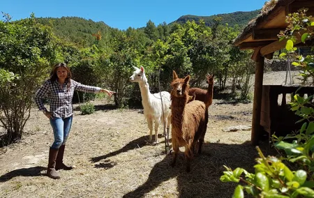 Private Tour - Hike and wine tasting at the Penedés