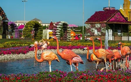 Skip the Line Dubai Miracle Garden Tickets