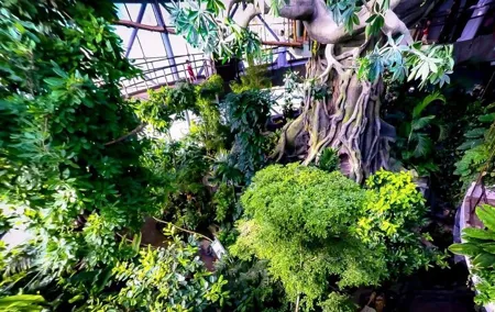 Green Planet Dubai City Experience Ticket