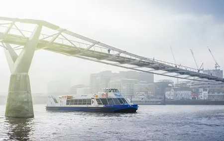 Thames Sightseeing Cruise with Flexible Time and Departure Pier