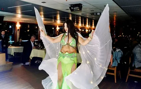 Bosphorus Dinner Cruise With Show and Private Table