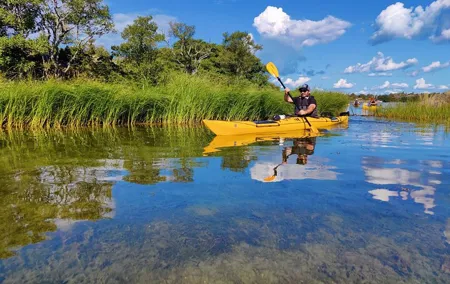 1-Day Small-Group Stockholm Archipelago Kayak Tour