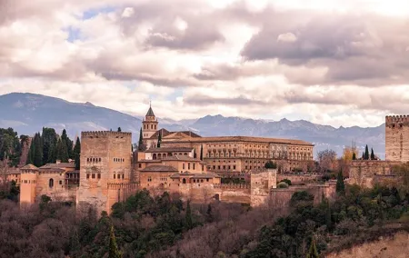 Chino: Alhambra Tour with entrance included (including palaces)