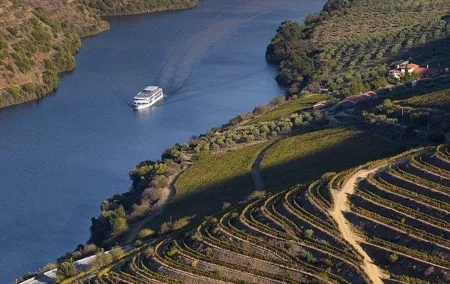 Douro Valley Cruise Porto to Pinhão: Breakfast, Lunch and Tasting