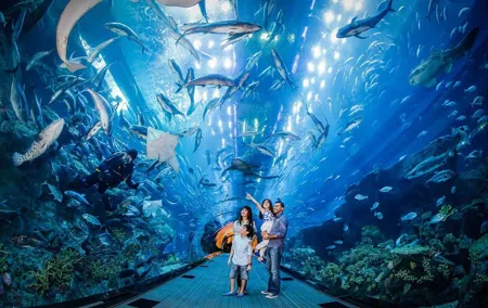 Istanbul Aquarium Tour with Hotel Transfer