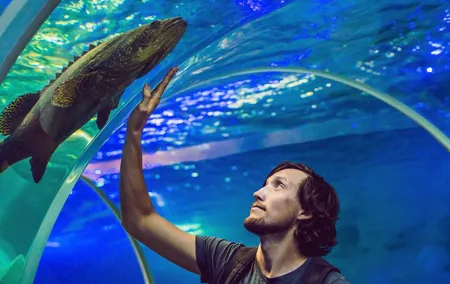 Istanbul Aquarium Experience with Comfortable Hotel Transfers