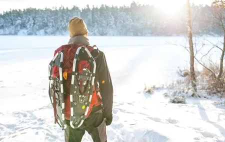Snowshoe Winter Hike from Stockholm