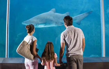 Istanbul Aquarium Admission with Transfers