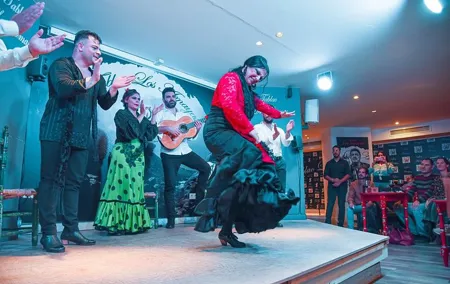 BEST OF Granada: Flamenco, Tapas and Wine Tour