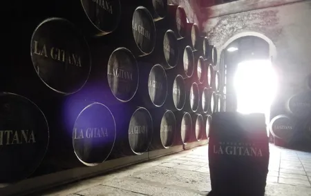 Ultimate Sherry Tour From Vejer de la Frontera in English