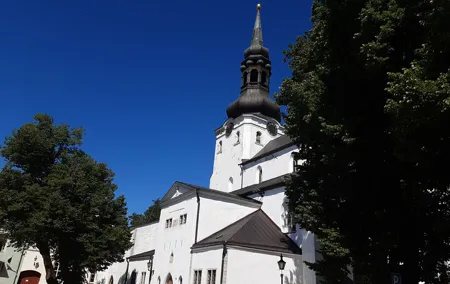 Private tour of Tallinn by Car or Minibus