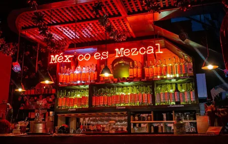 CDMX Tasting of Mezcal vibes