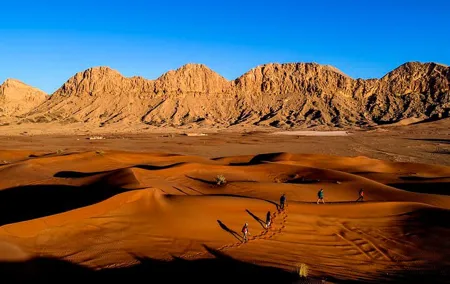 Morning Desert Safari with Honey Bee Garden