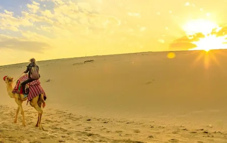 Morning Safari Escape Golden Hour in the Desert With Transfers