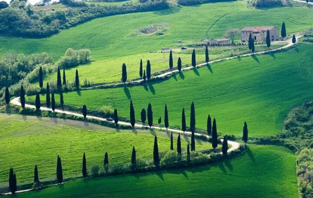 Private Transfer Rome to Florence with a stop to visit Siena