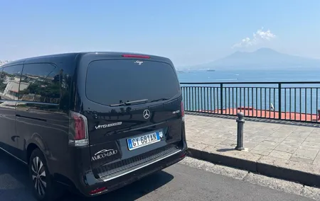 Rome to Vesuvius and Pompeii Day Trip with Lunch
