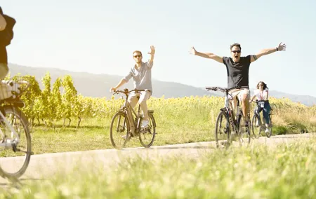 Geneva Highlights Tour by Bike - 2h
