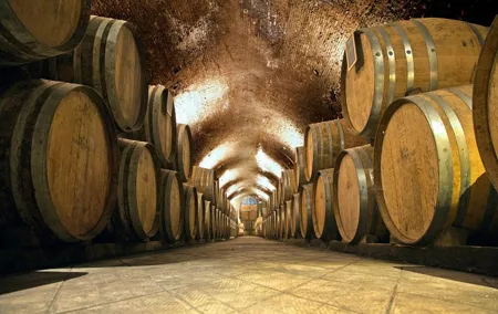 Chianti & Supertuscan Tour 2 Wineries Small Group 8 people max from Florence