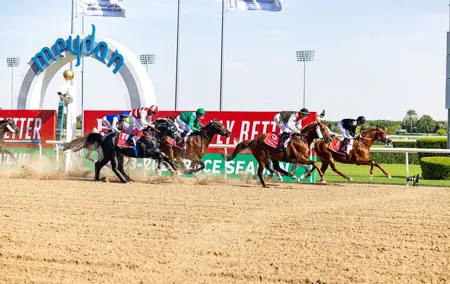 Dubai Horse Racing World Cup 2025 At Meydan